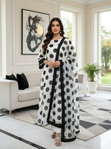 Luxury Organza Brush Paint Work 3-Piece Dress