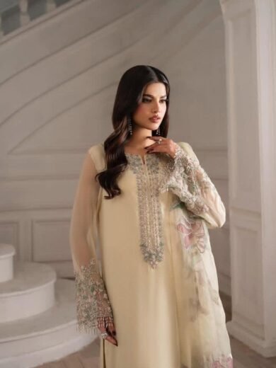 Handmade Adda Work Pure Organza 2PC Suit with Hand Painted Dupatta